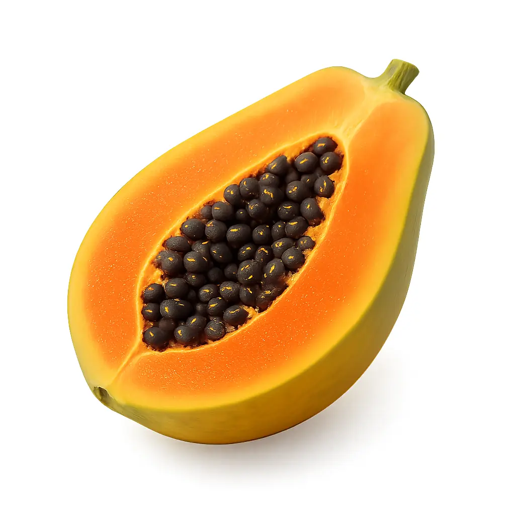 Extracto de papaya — ingrediente natural presente en la fórmula.